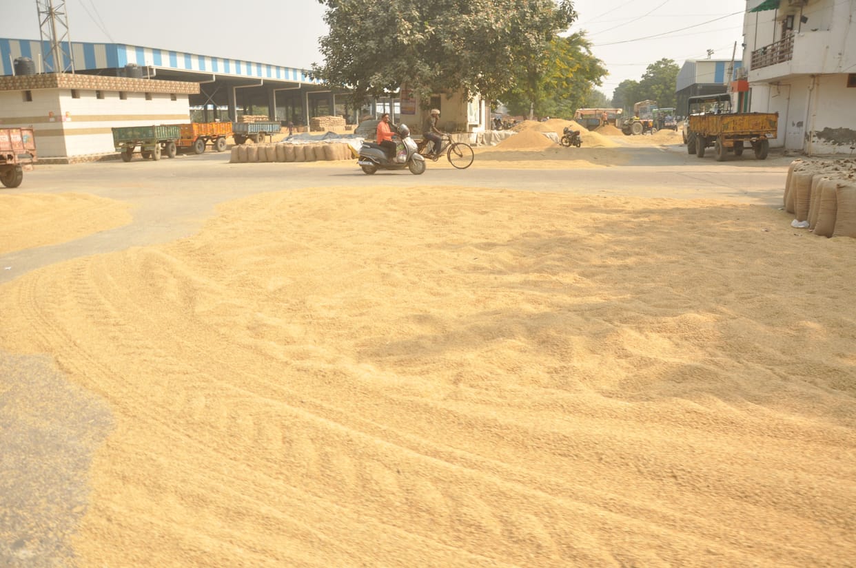 Official procurement closed, still paddy is coming