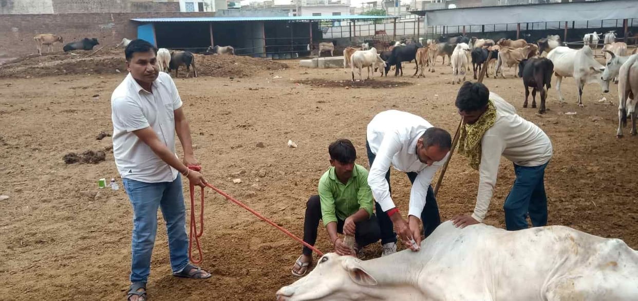 Hands of Humanity: Saving the lives of animals along with humans