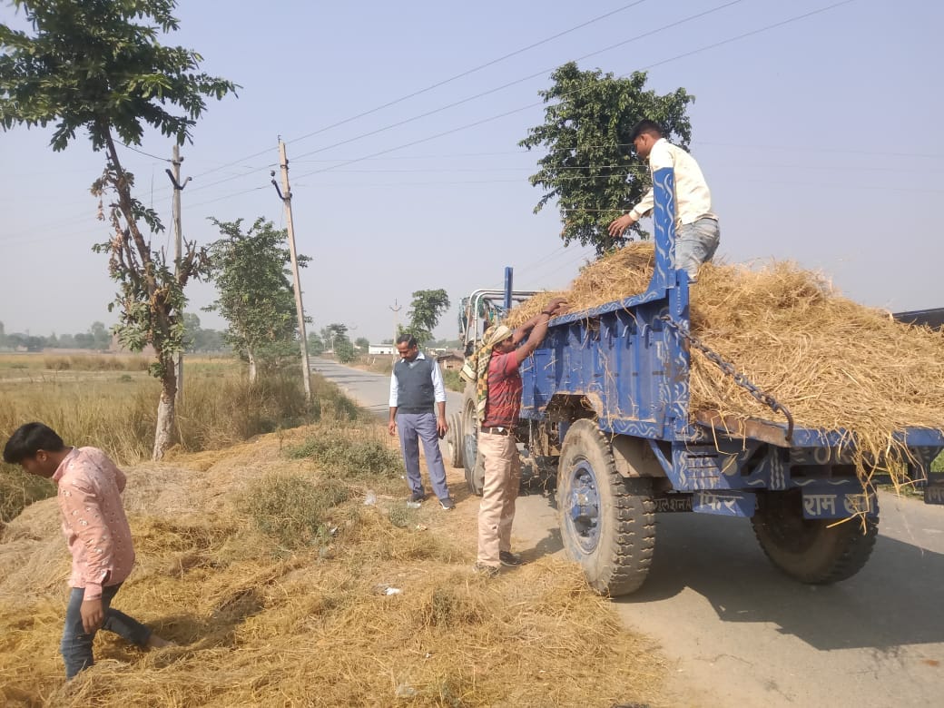parali