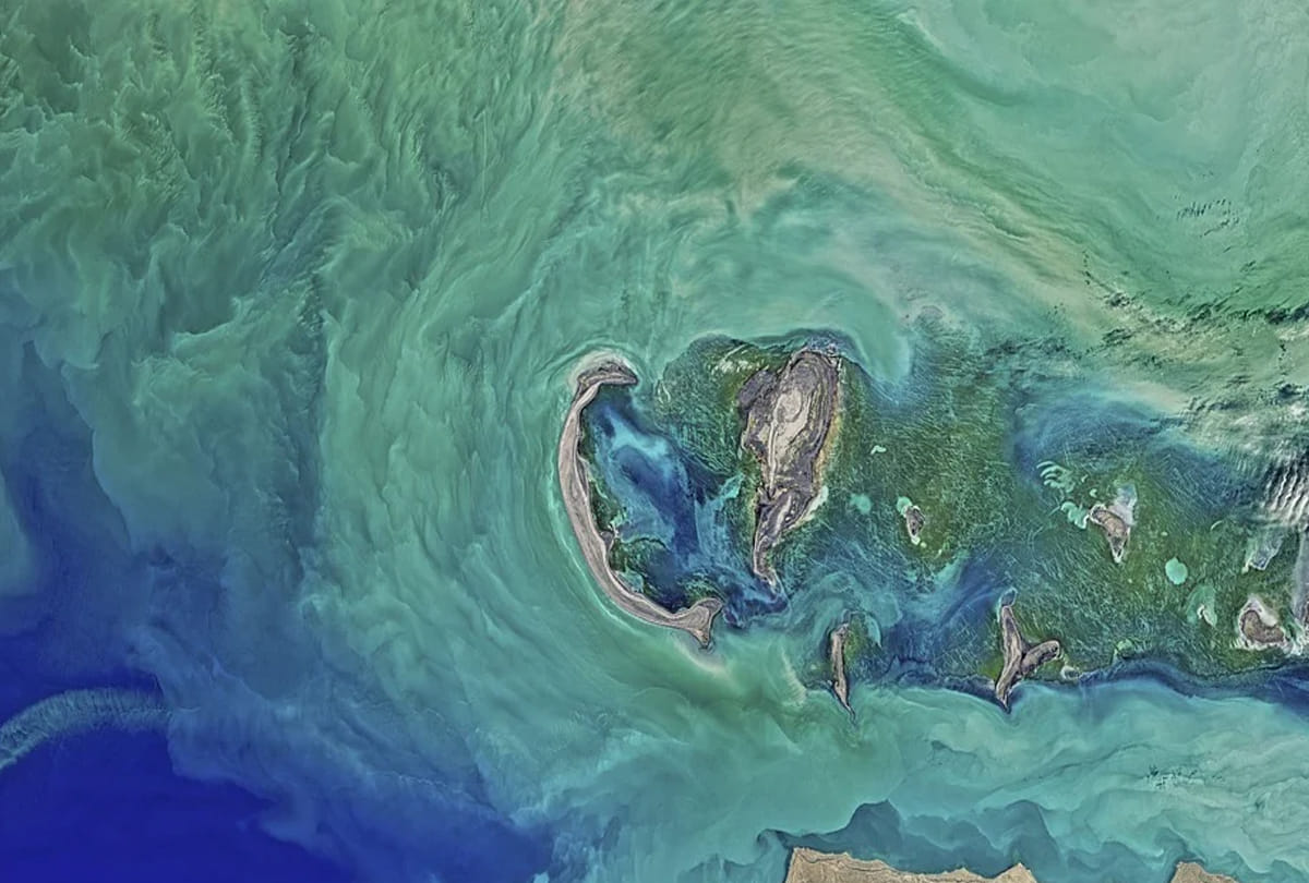 more oceans in urenus planet space stir in the world due to the claim of scientists