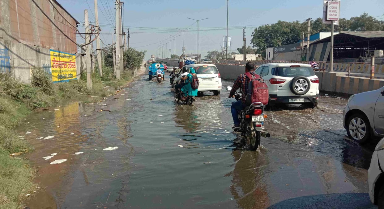corporation will pick up cow dung from city dairies
