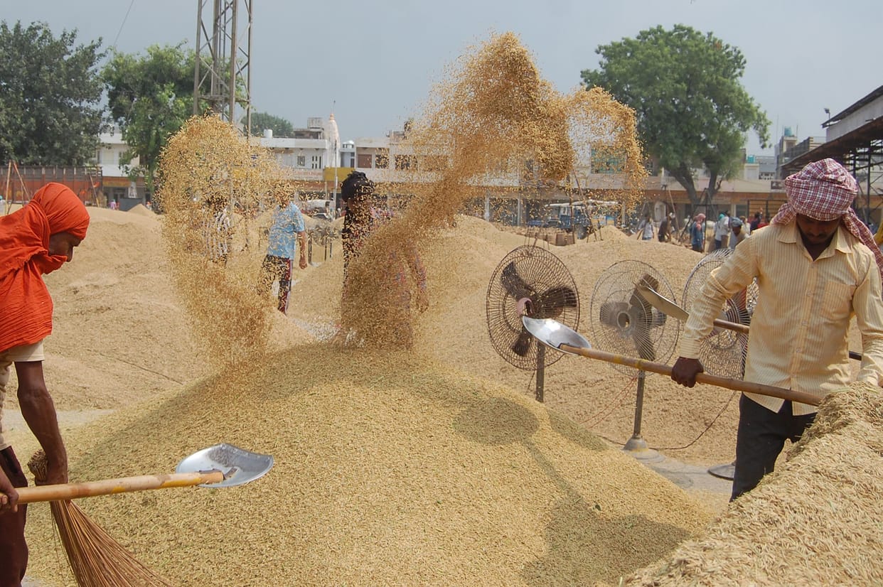 Paddy prices jump, Paddy sold at Rs 4000 per quintal
