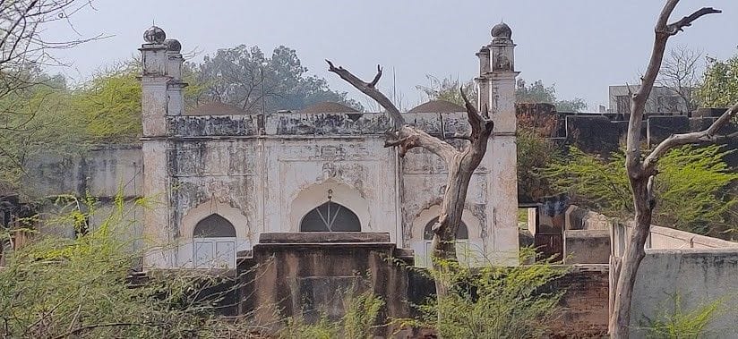 Remains of Loharu Fort declared as protected area