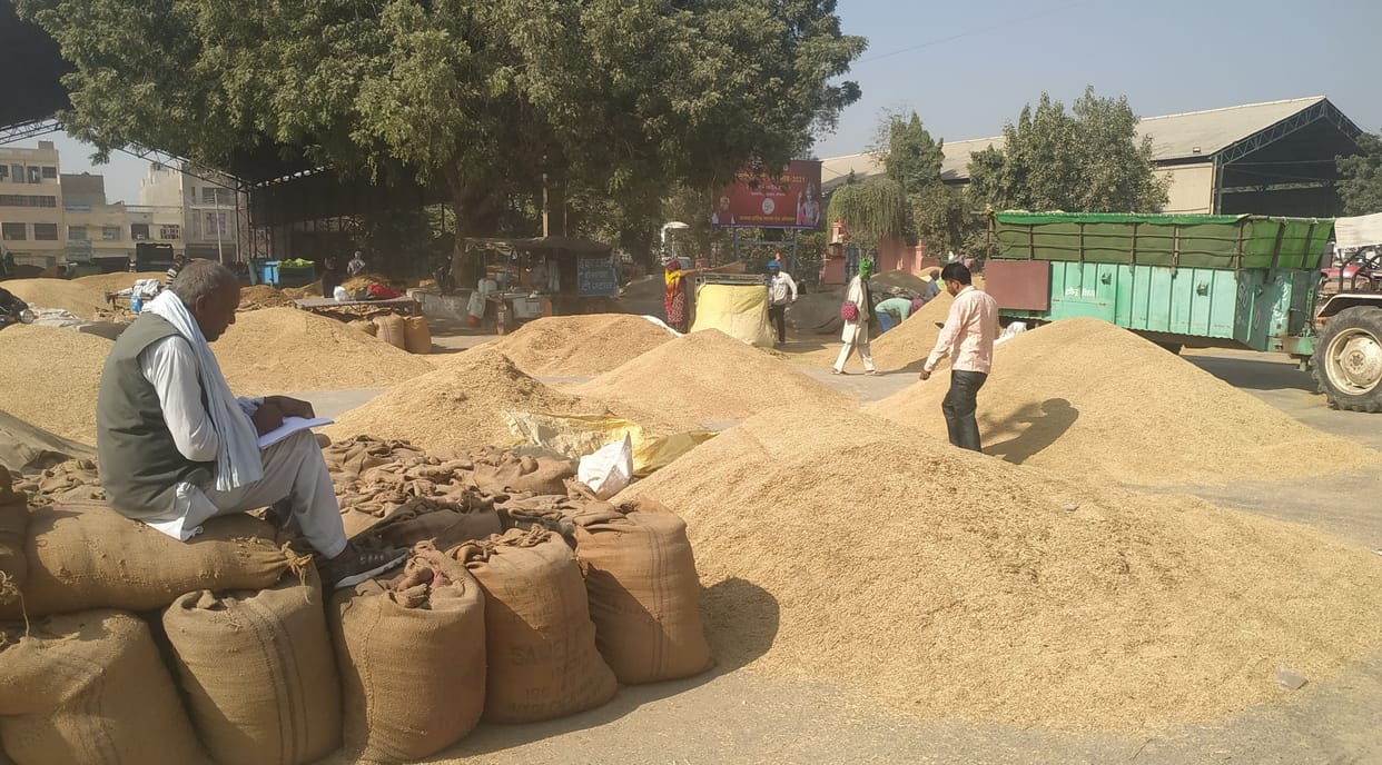 Mandi again filled with paddy, now brainstorming on the decision to keep the arrival closed after 5 pm every day to get the lifting work done