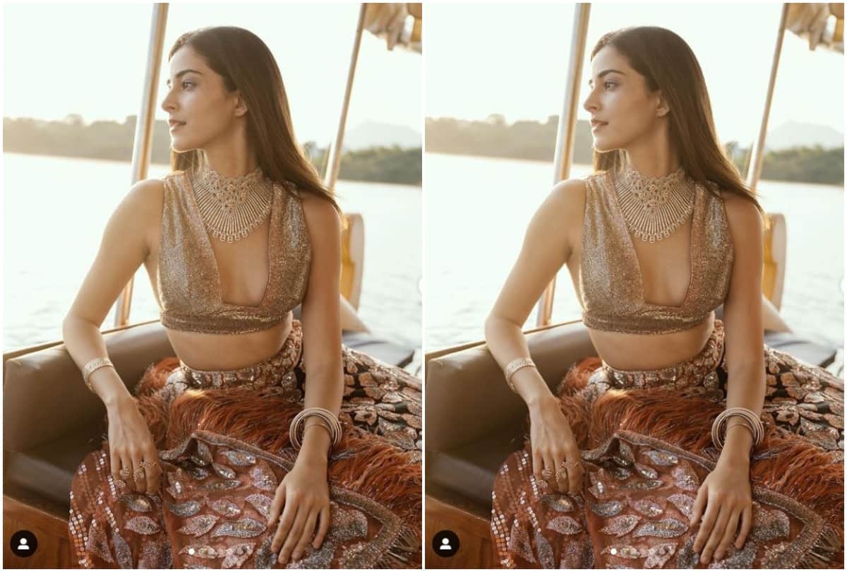 Actress Ananya Panday shared a picture from the shooting of the film liger on Instagram