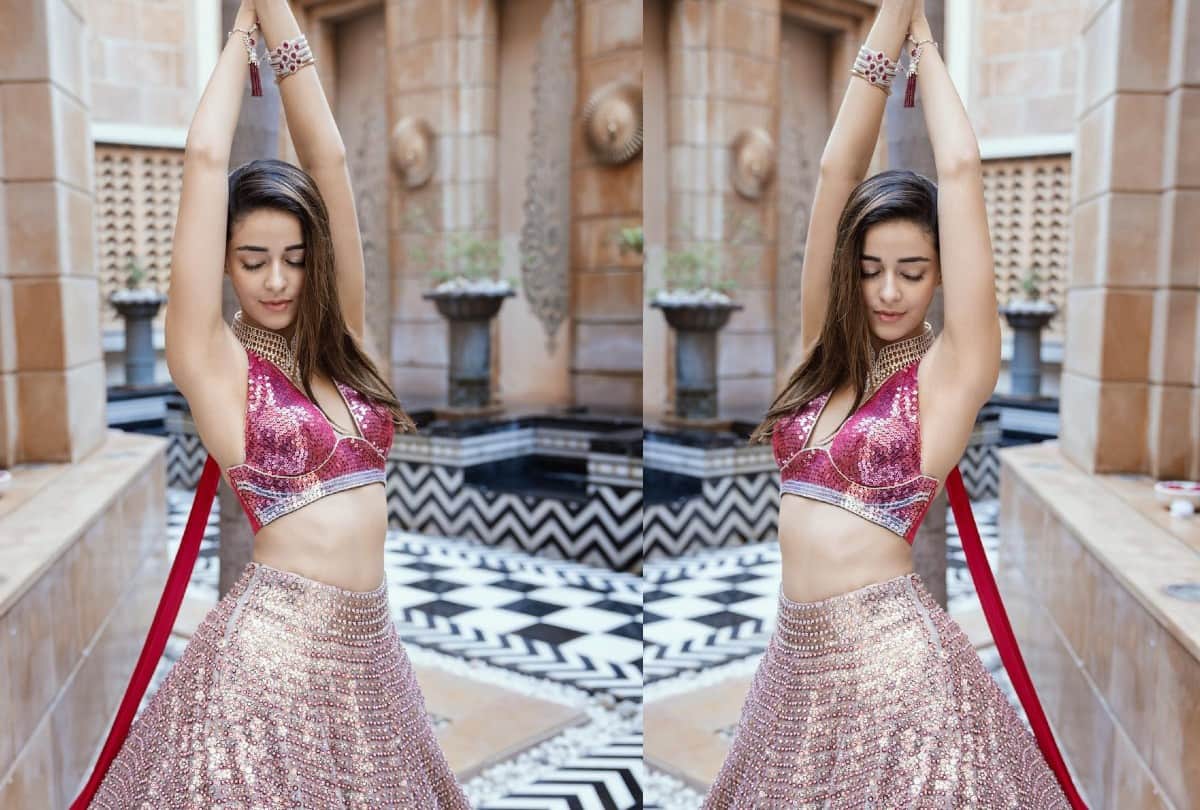 Ananya Panday Shimmery Lehengas Photos Best For Wedding Season