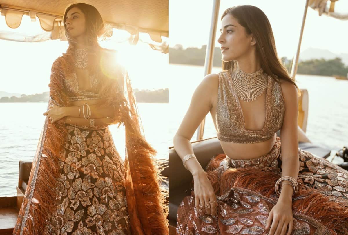 Ananya Panday Shimmery Lehengas Photos Best For Wedding Season