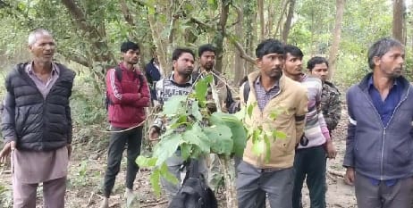 Nine people arrested for trying to hunt wildlife