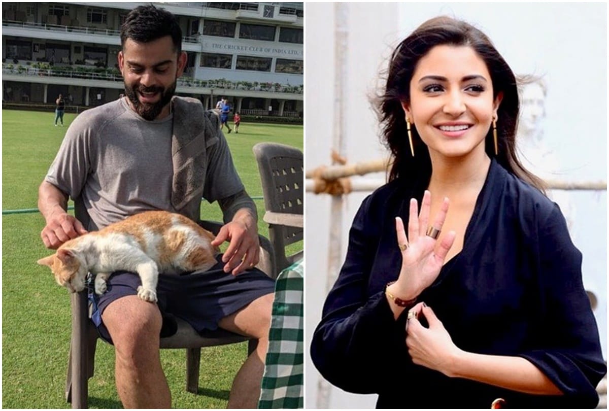 Social media: Virat Kohli calls wife Anushka Sharma a cat users are giving such reaction