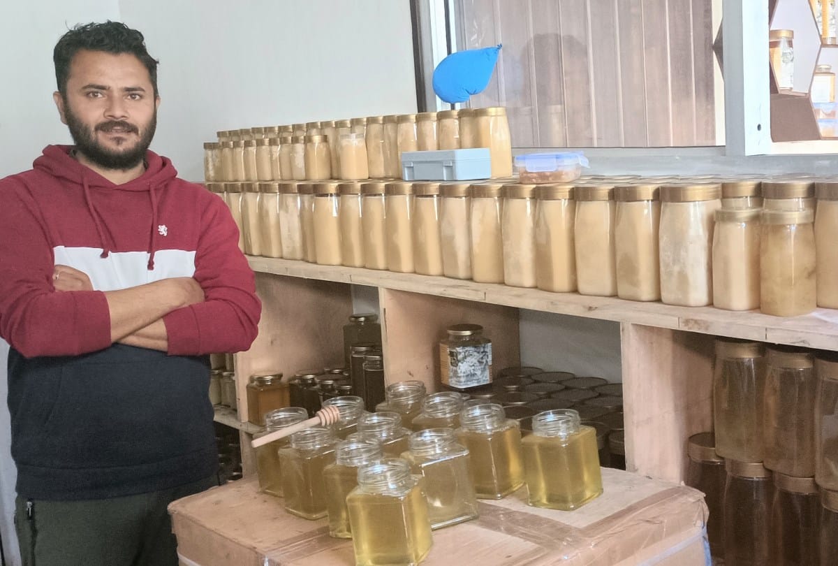 Young Entrepreneur earning 35 lakh rupee Honey Bee Farming In Rohru Shimla