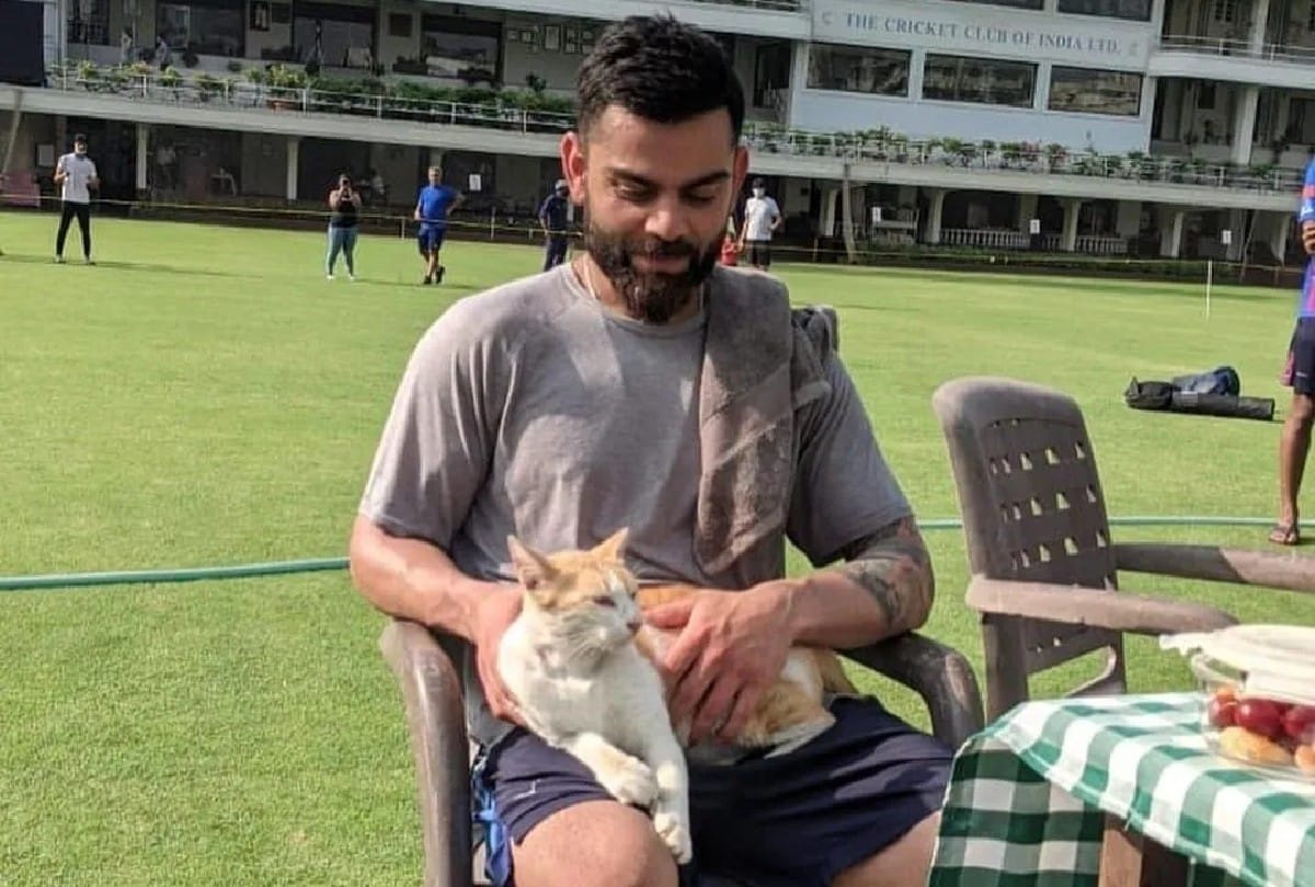 Virat kohli got golden cat during practice pictures went viral