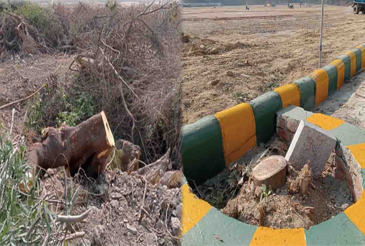 President Ram Nath Kovind Kanpur Visit: Hundreds of Trees were Cut to Make Five Helipads