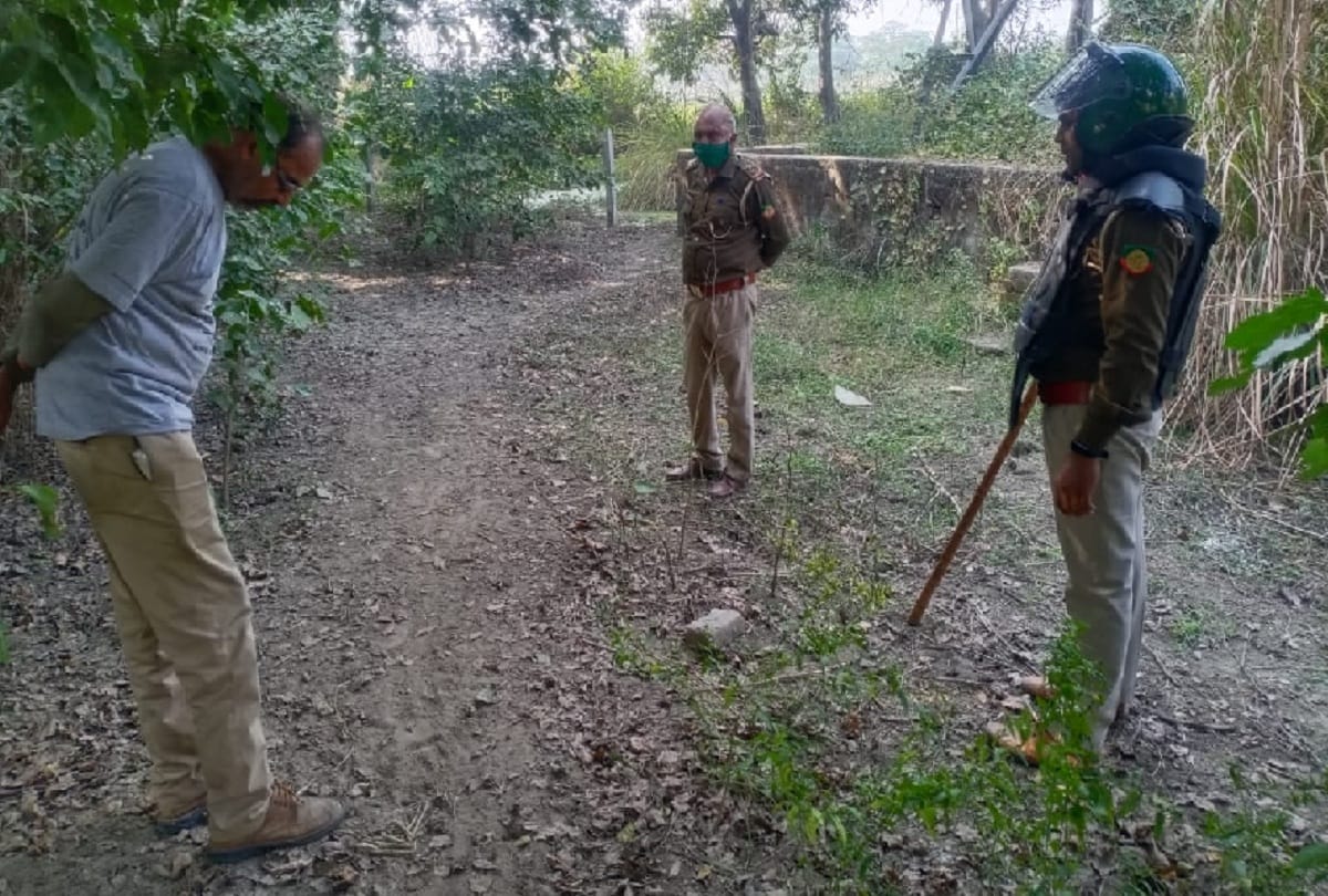 Ghaziabad: Cage set up on the third day, leopard not found, officials said - likely to go out of the city, search operation continues