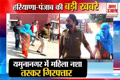 Woman Drug Paddler Arrested In Yamunanagar Of Haryana