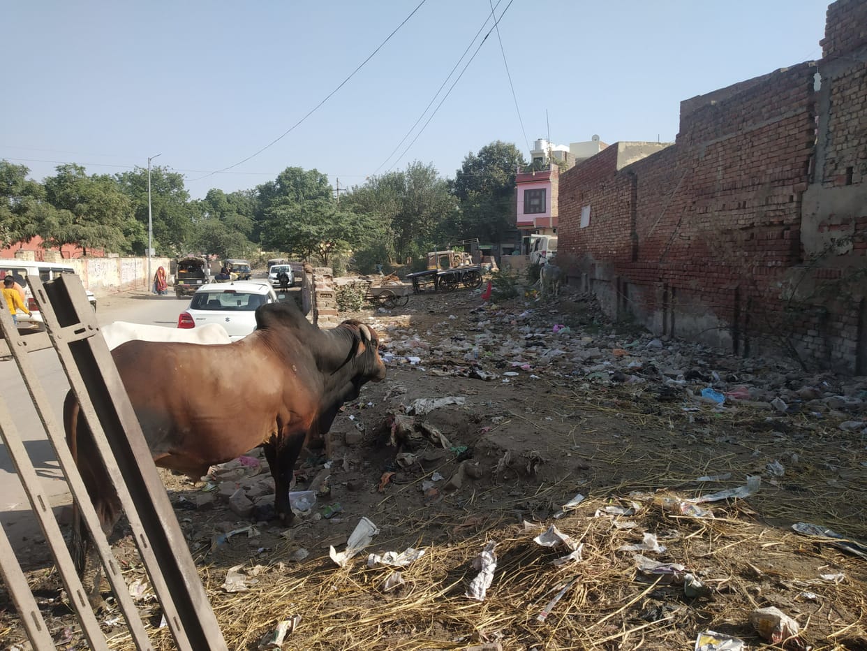Nap forgot the dustbins installed two months ago, not empty even once