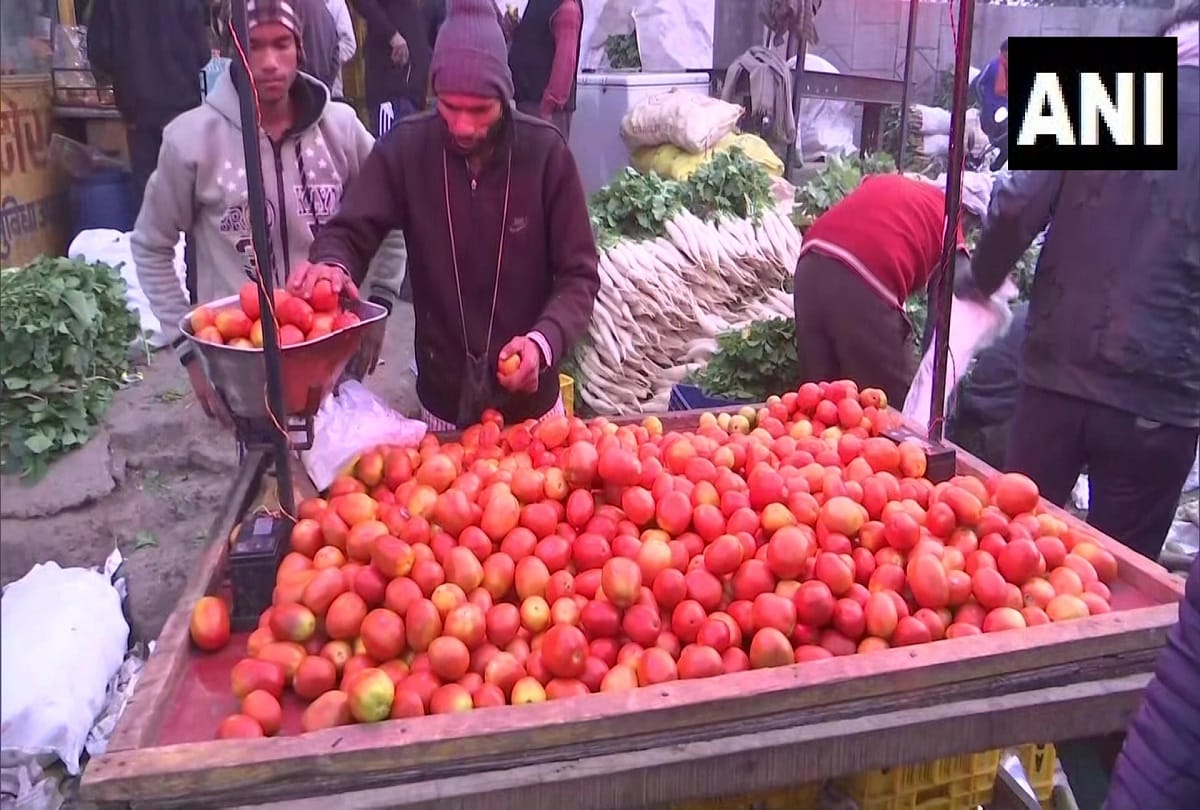 Tomato prices skyrocket to Rs 140/kg in South due to rains