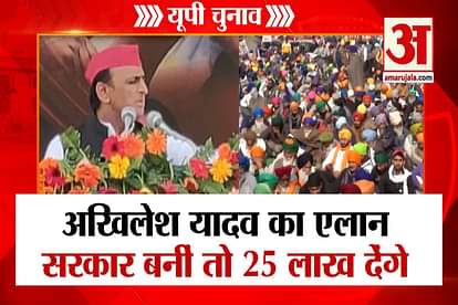 up elections superfast News 24 november