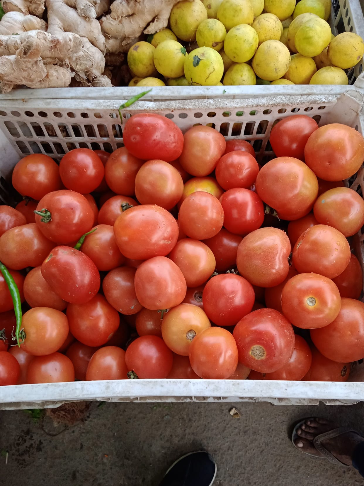 Tomatoes turn red, peas are also removed