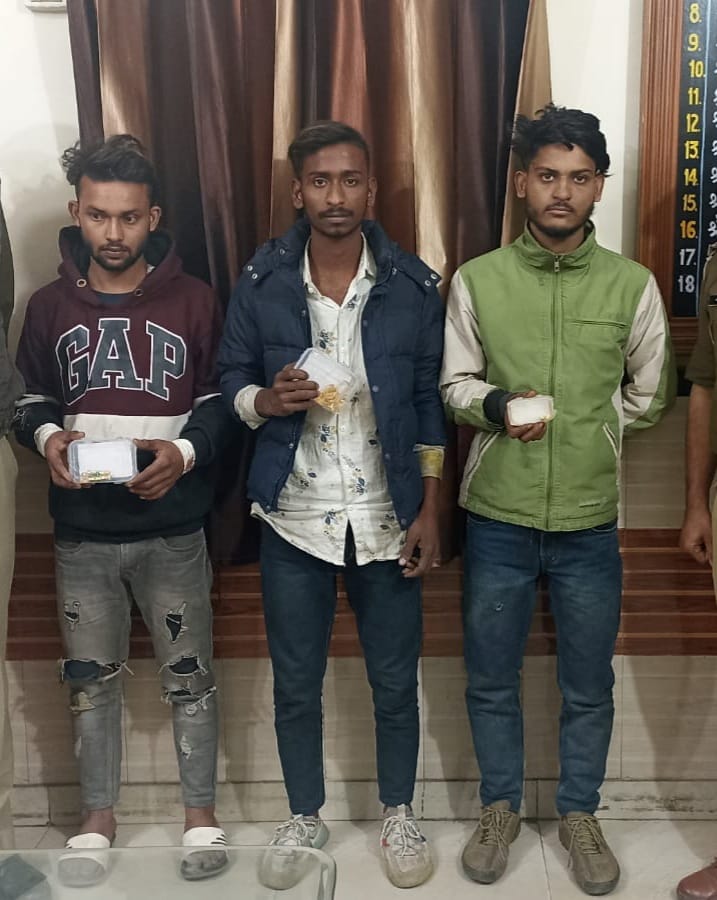 Three members of thief gang arrested