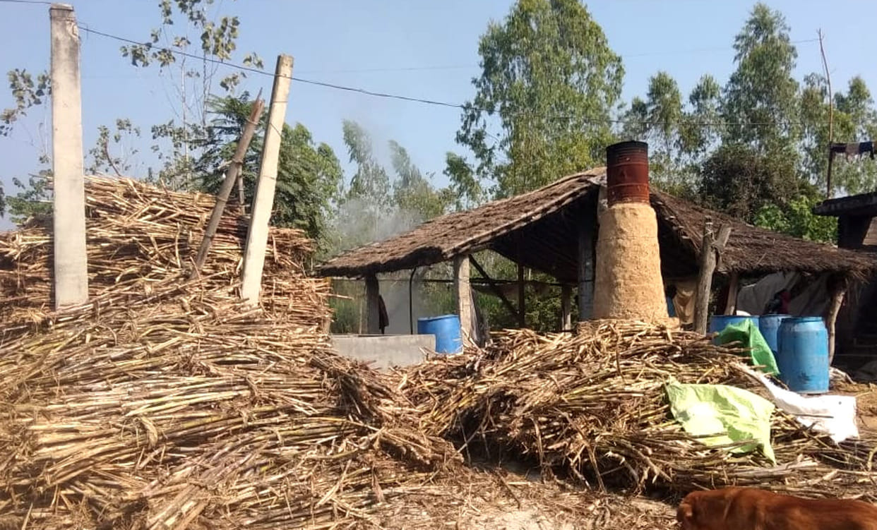 Farmers forced to sell sugarcane cheaply on crushers