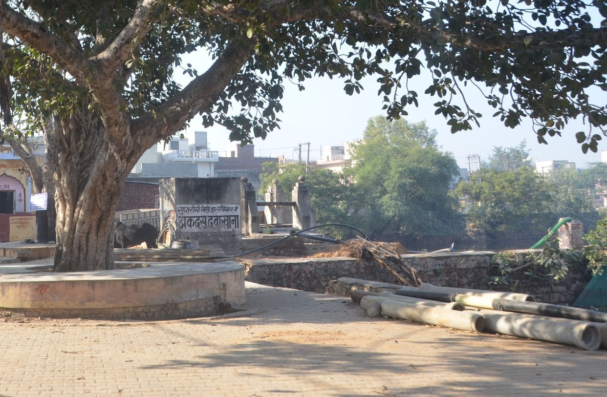 Renovation of Shyamsar pond stopped again