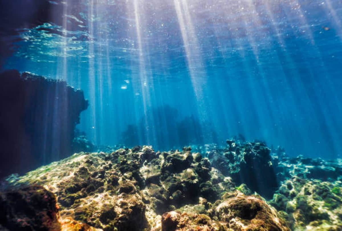 A new world found in the gulf of california scientists were surprised to see the sight in the sea