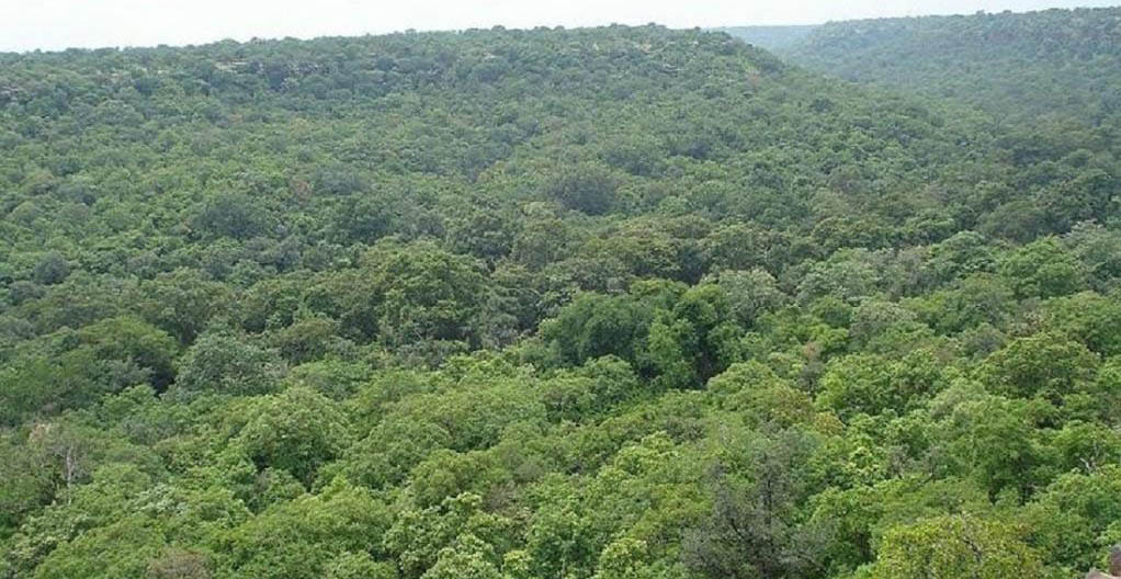 Why was diamond mine allowed in Bakswaha forest?