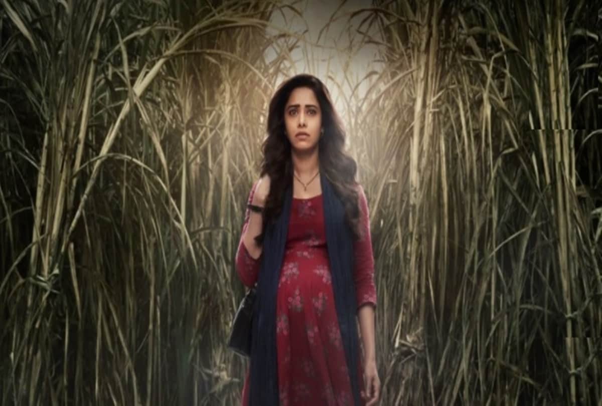 Underrated Horror Movies After Shaitaan Stree 2 Bhul Bhulaiyaa 3 Chhorii 2 Mom's Coming
