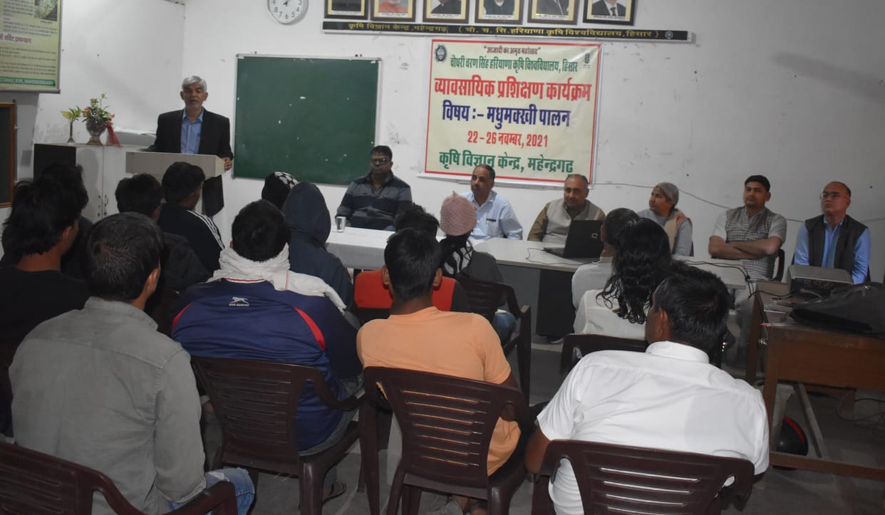 Beekeeping training given to 25 youths