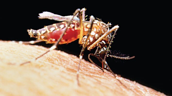 Only one active case of zika in Lucknow