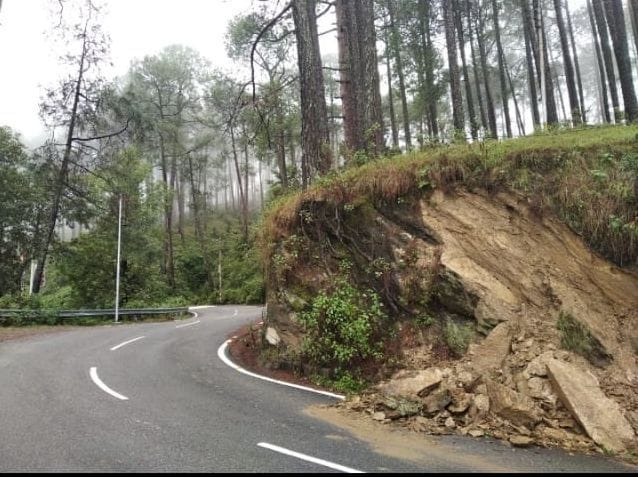 Trees Are prone in Accident