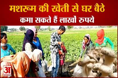 Mushroom Farming In Haryana Earning In Lakhs