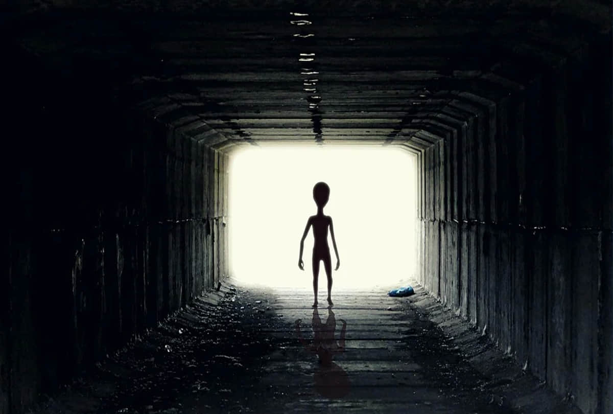 alien will come to earth that organisms can ride human spacecraft Scientists gave warning