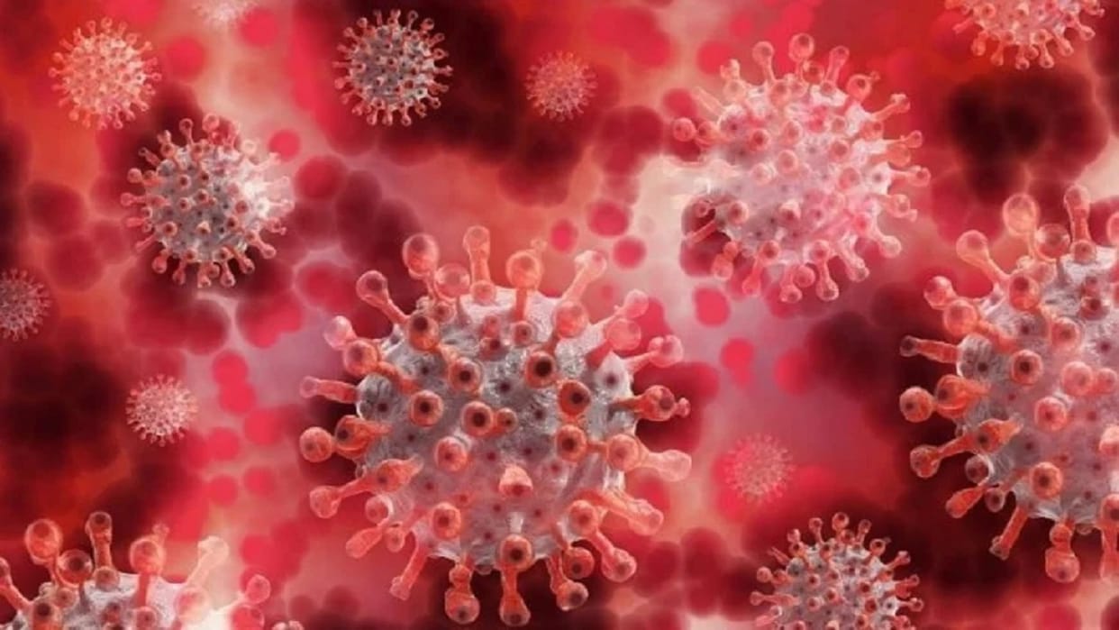 Coronavirus in kanpur: three corona infected found