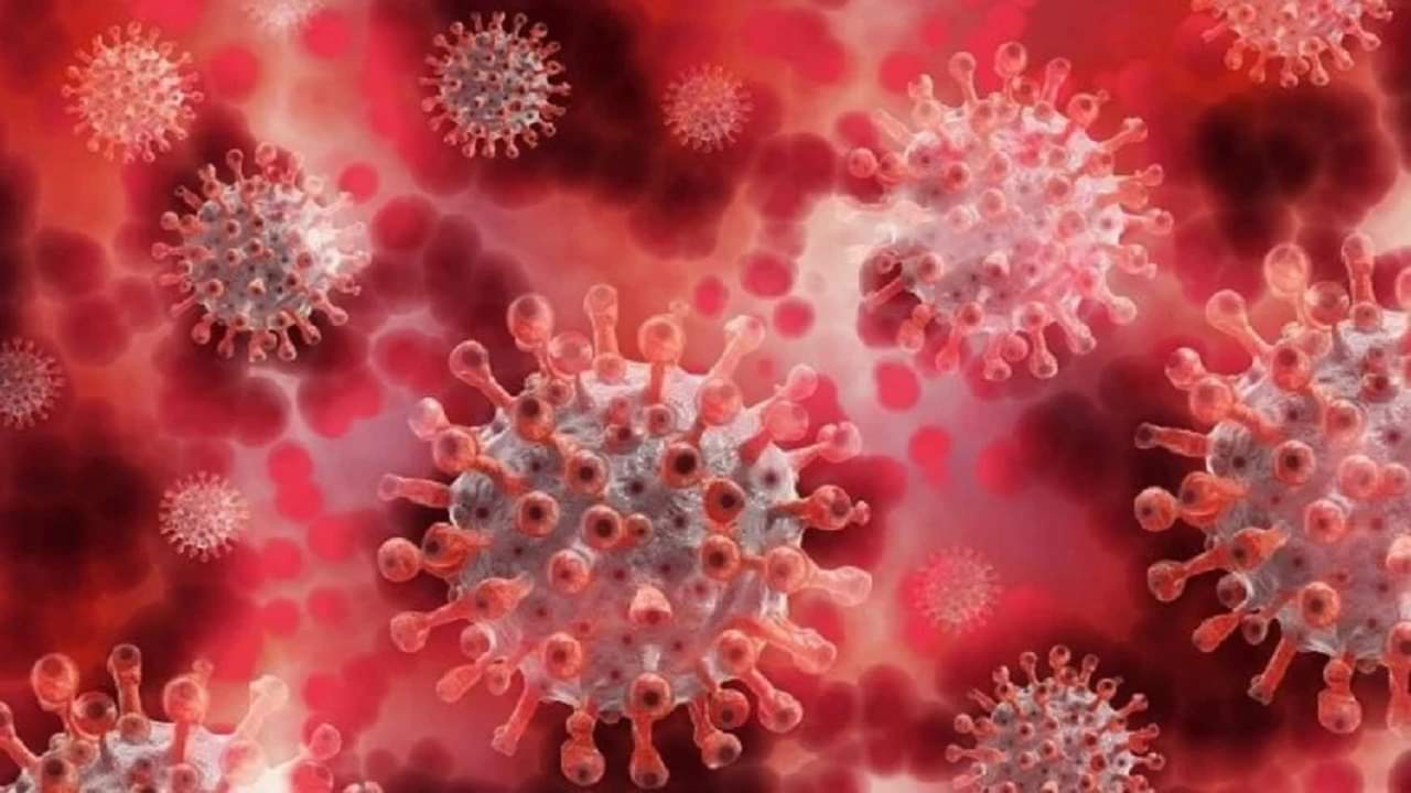 latest covid news and updates worldwide know new covid variants risk in india