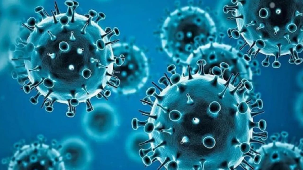 COVID-19 reinfection common with BA.5 variant, latest study on covid in hindi