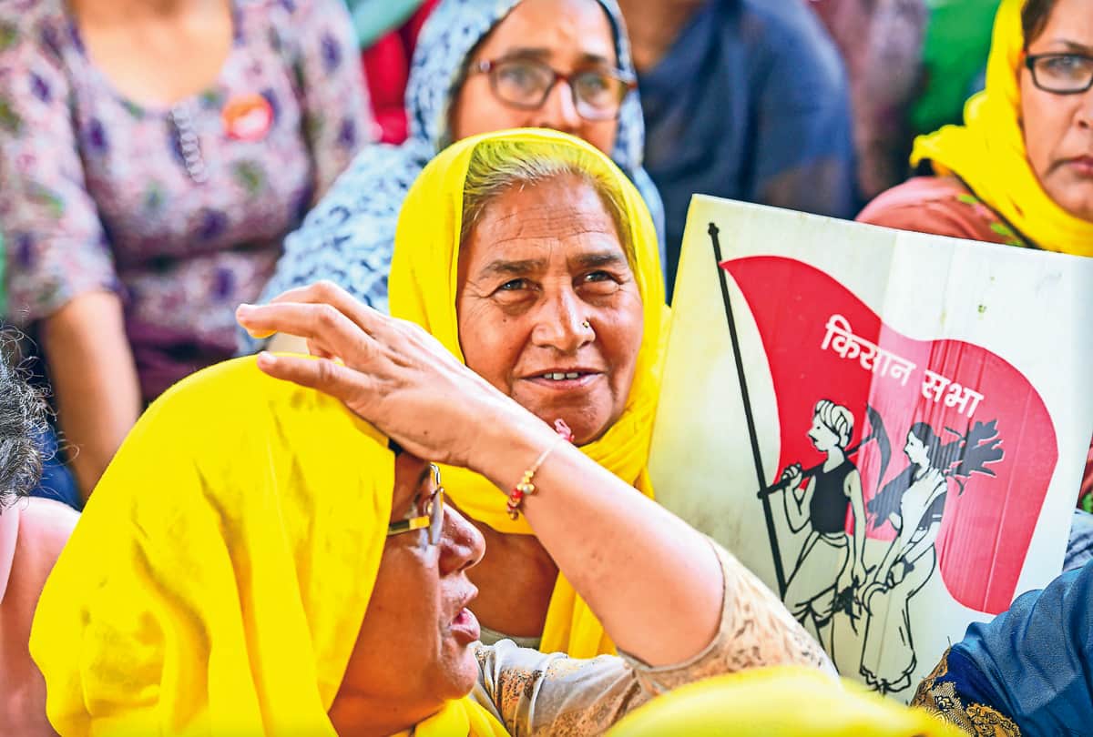 Hindi News Headlines 28 November Today: Important and big news stories of 28 November updates on Amar Ujala