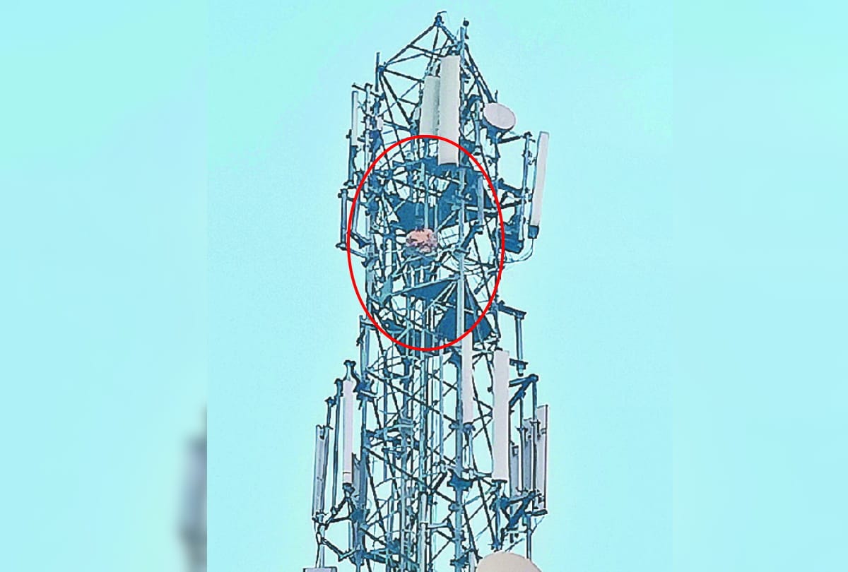 A young man climbed tower to remove possession of land