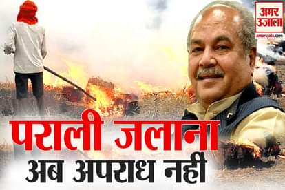 Union Agriculture Minister Narendra Singh Tomar said now stubble burning is not a crime