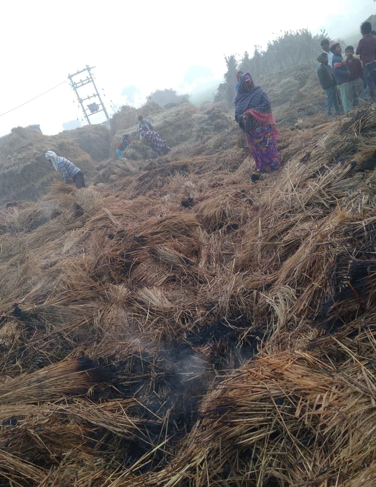 Chaotic elements burnt the stubble kept in the field