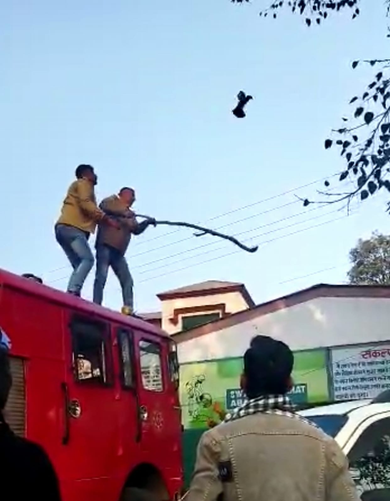 in nahan firemen save the life of  kabooter