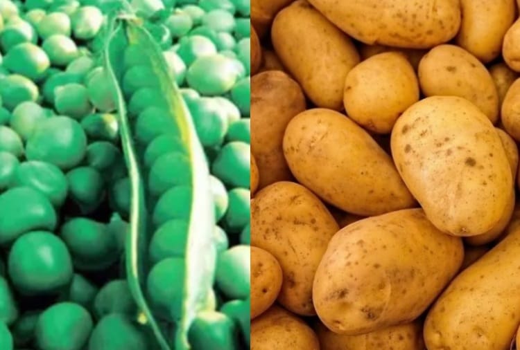 Price of peas and Potato is Very High in Punjab