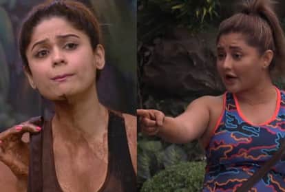 bigg boss 15 fans support shamita shetty on social media furious at rashami desai and devoleena Bhattacharjee for insulting her
