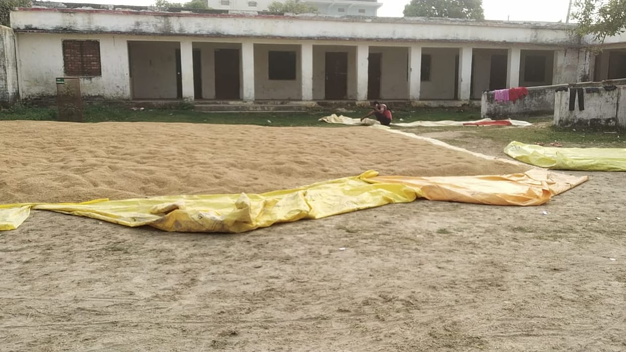 Paddy was not sown at ten purchasing centers