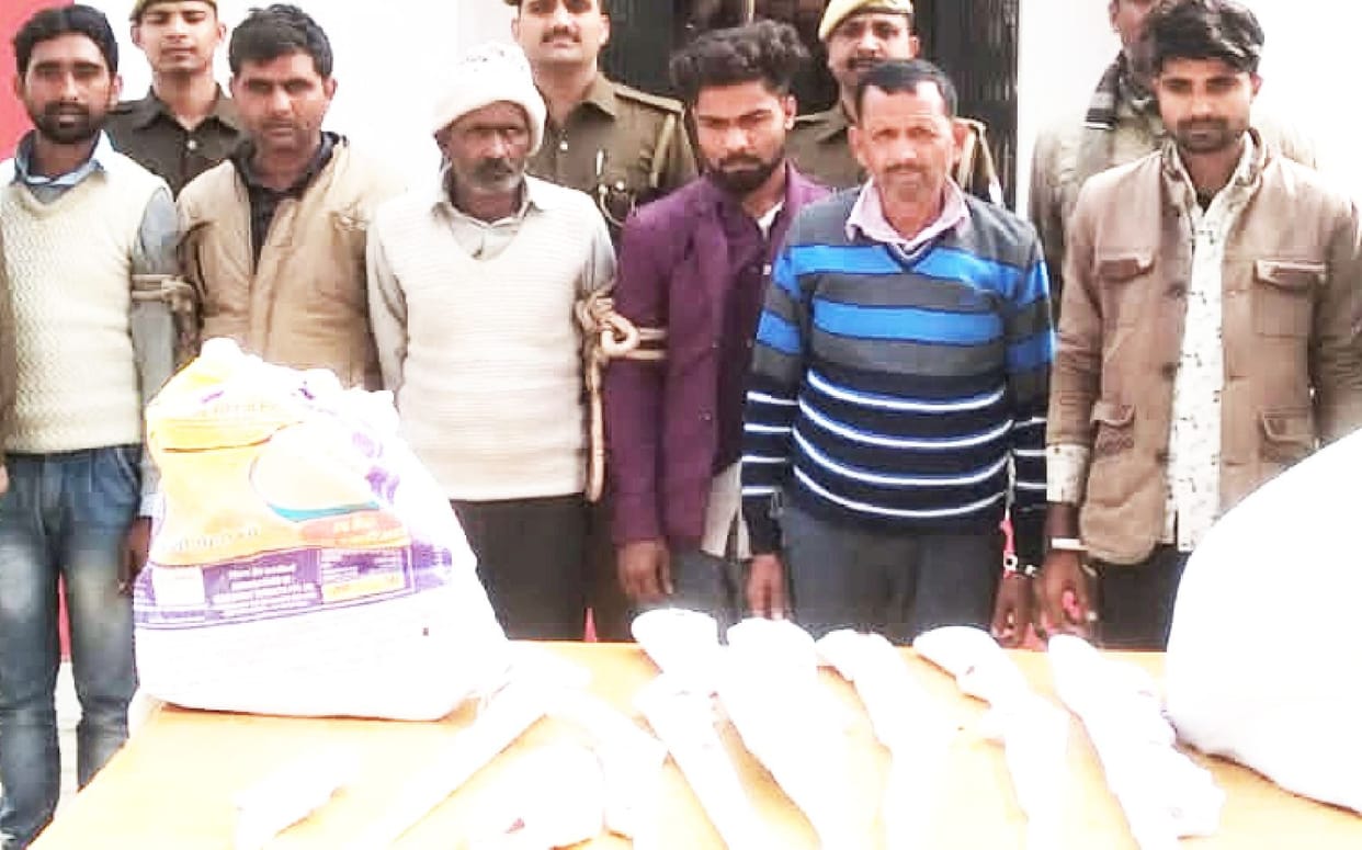 crime,arest,illegal weapons
