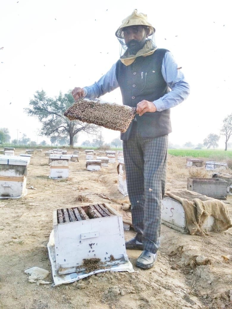 Starting with 43 coaches, now beekeepers are earning lakhs of rupees in 900 coaches