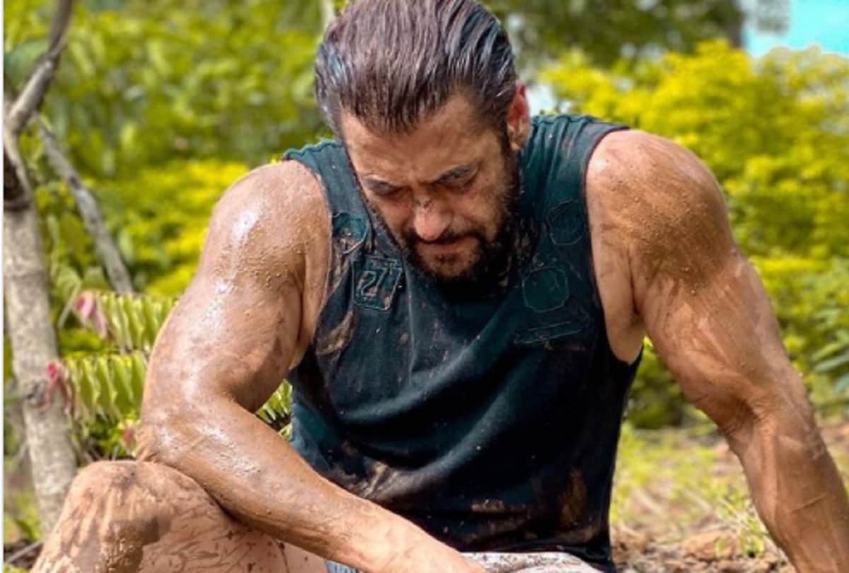 Salman Khan calls Jaqueline Fernandez foolish remembering holidays workout in Panvel Farmhouse
