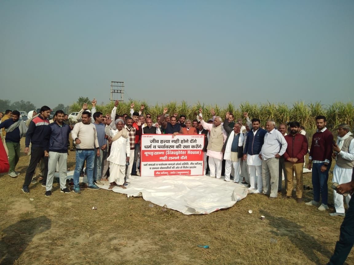 The license of the meat factory will not be removed till the cancellation
