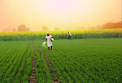 Lucknow: 26 lakh farmers could not repay KCC loan