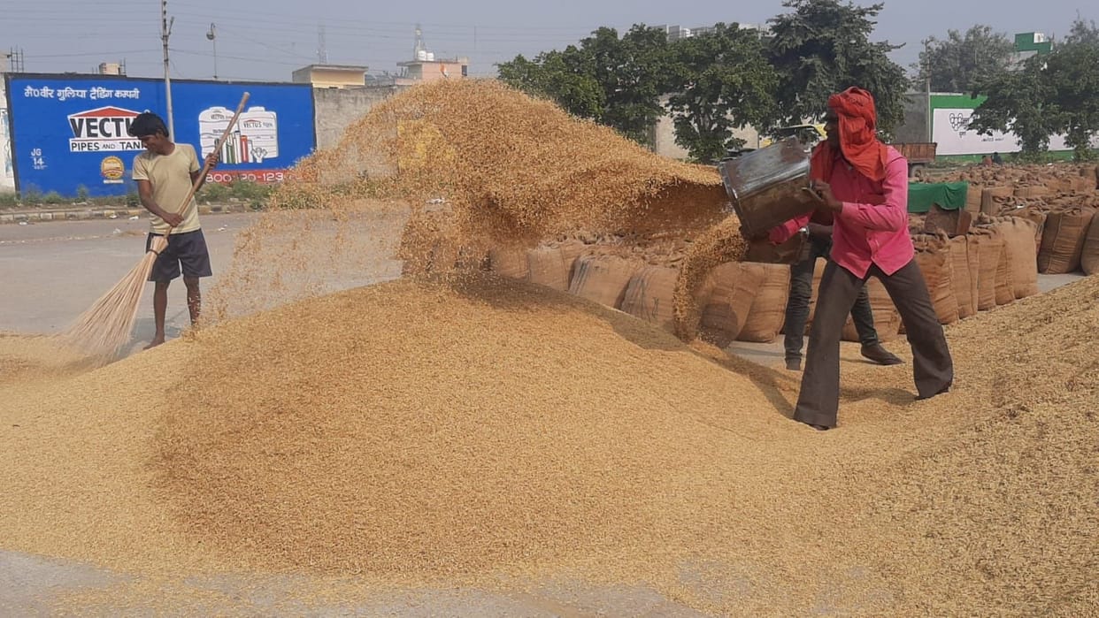 Paddy arrival increased, millet did not reach the market for three days